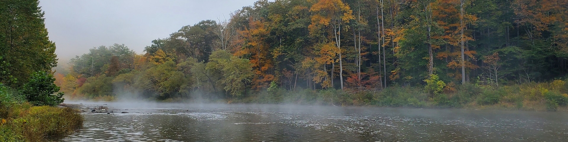 Un río de aguas transparentes rodeado de árboles con follaje otoñal.