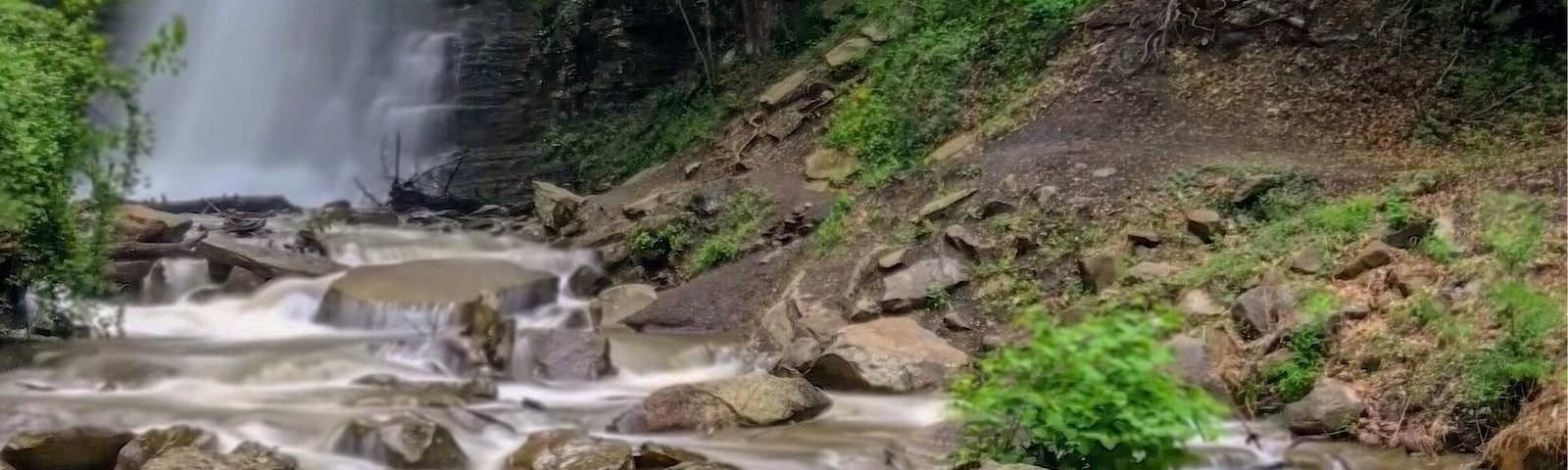 #Green