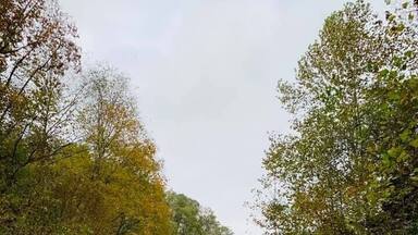 The railroad going into Trace Fork Tunnel