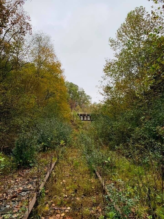 The railroad going into Trace Fork Tunnel