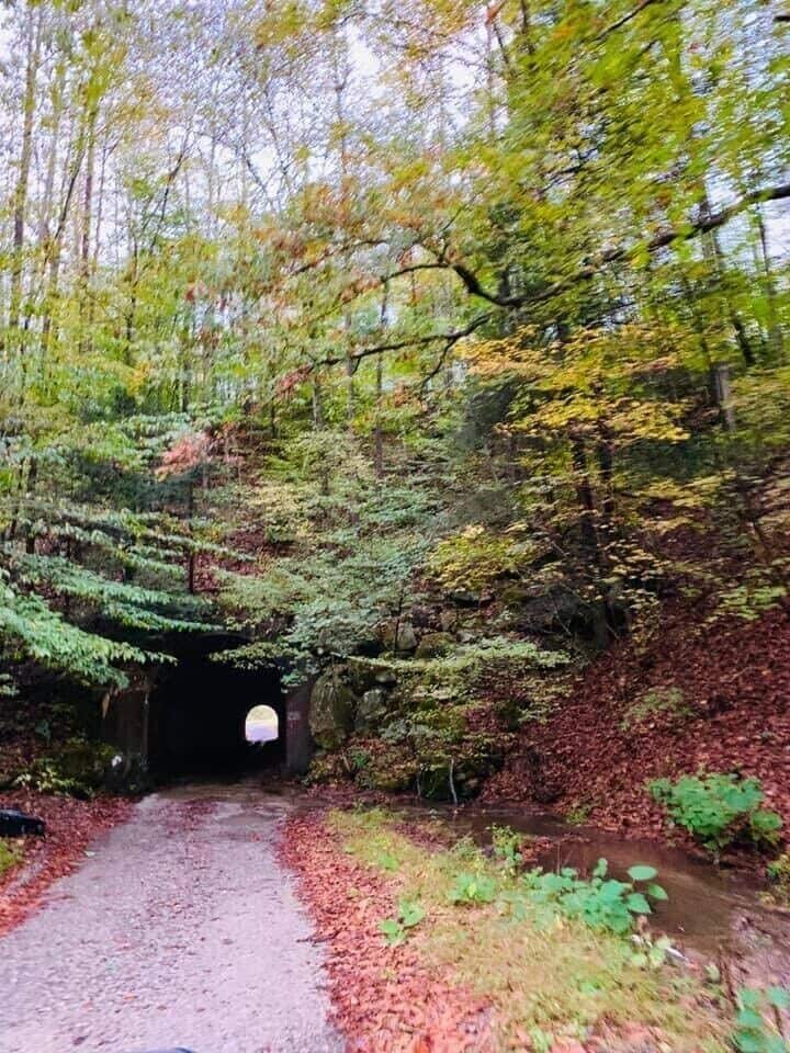 Simmons Branch Road Logan WV