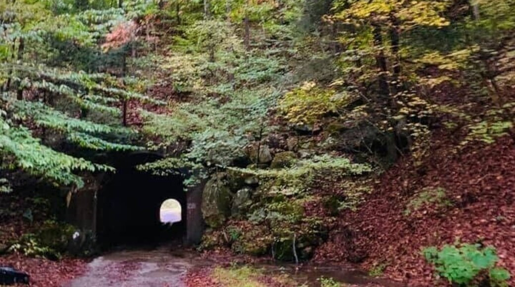 Simmons Branch Road Logan WV