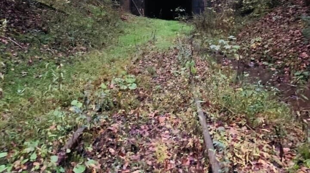 Trace Fork Tunnel