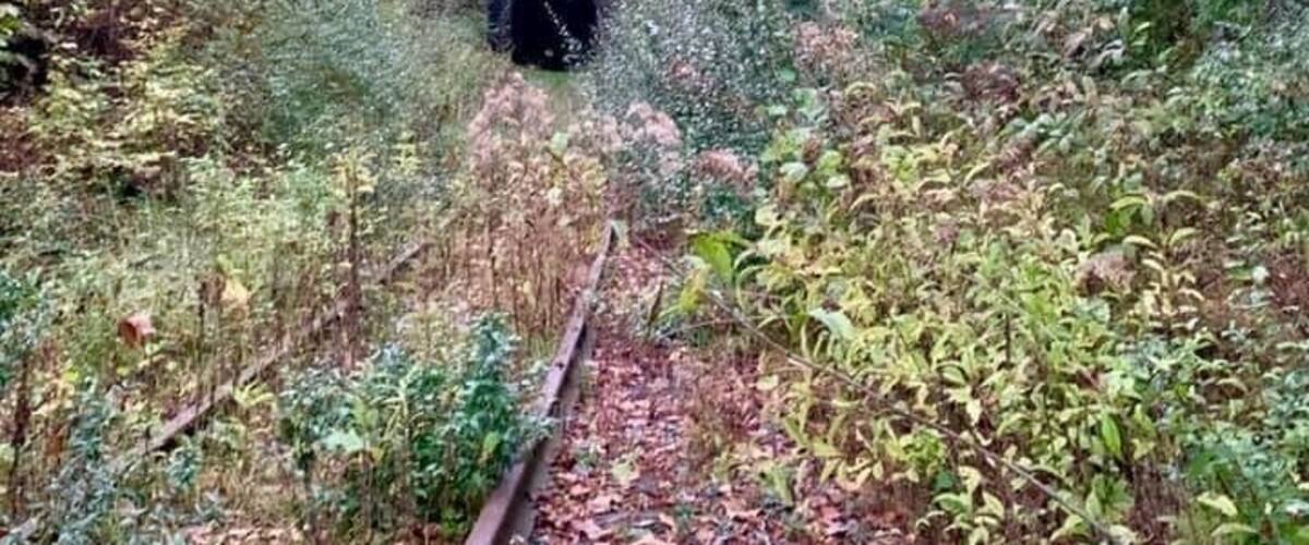 Trace Fork Tunnel tucked away near the regional jail.