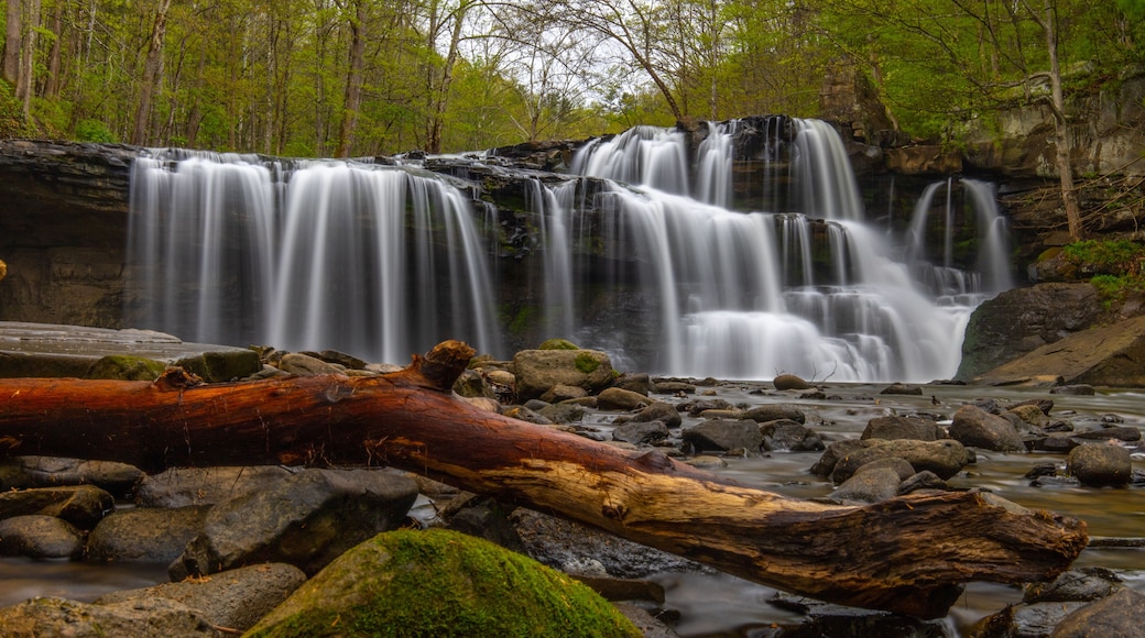 Brush Creek Falls in West Virginia