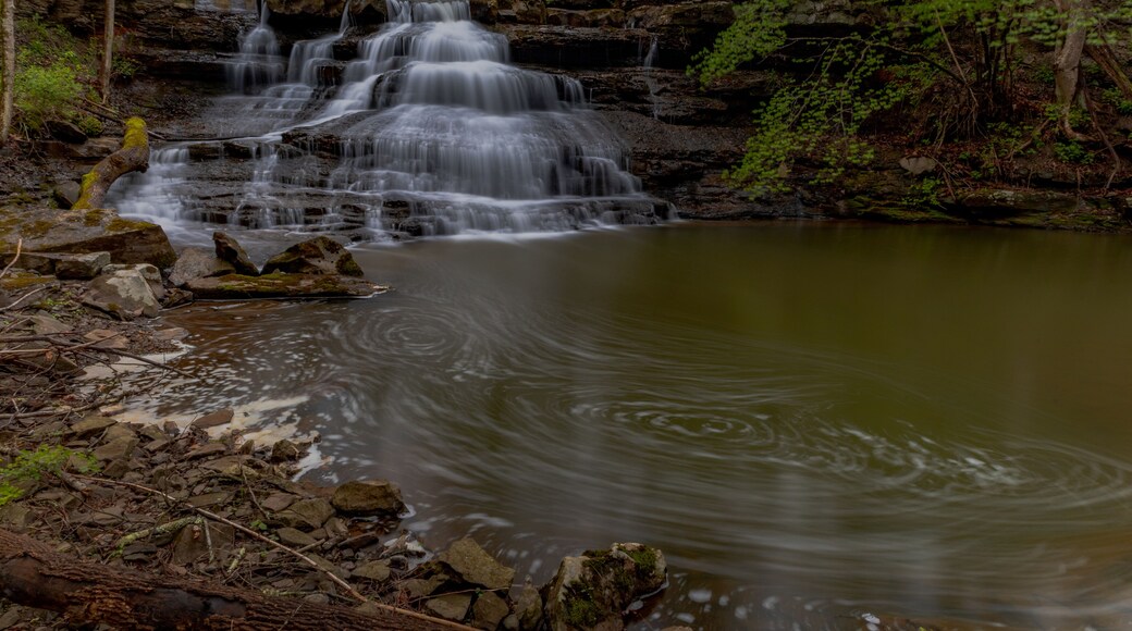 Wolf Creek Falls in Mercer County, WV
