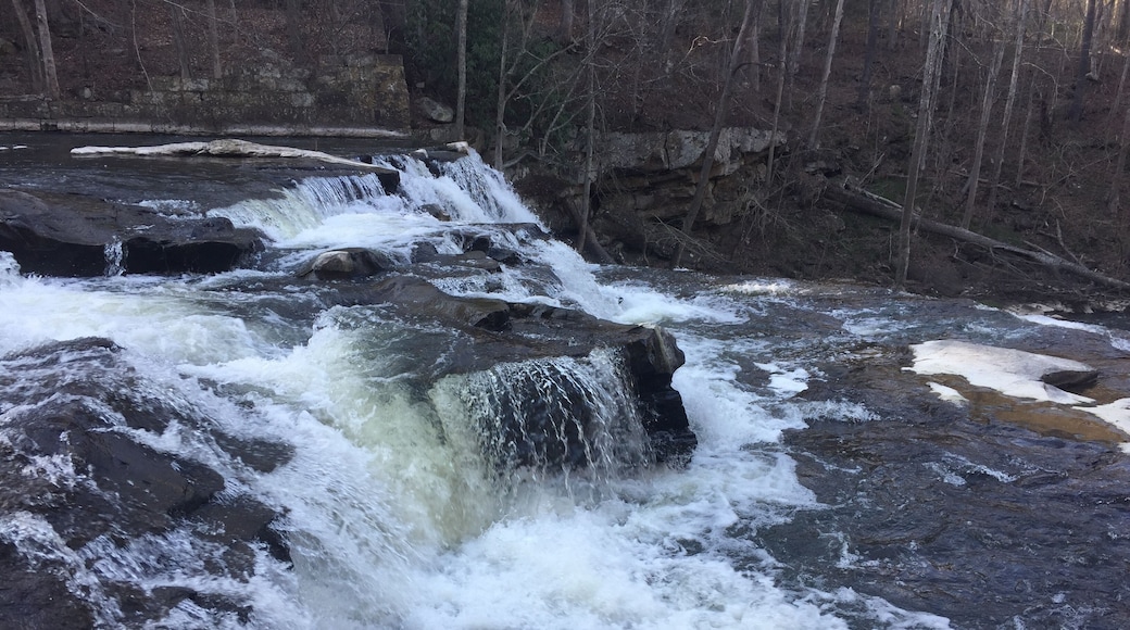 Top of the falls, early spring I believe