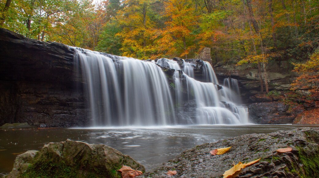 Brush Creek Falls in autumn