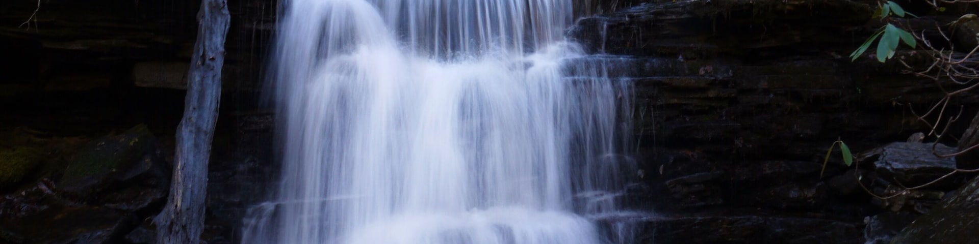 This little waterfall is found on Rockhouse Branch Creek which is part of the Piney River section of the Cumberland Trail. When complete, the Cumberland Trail will span over 300 miles from Chattanooga TN to the Cumberland Gap TN/KY/VA. Thousands of waterfalls just like this little guy can be found all along the way.
