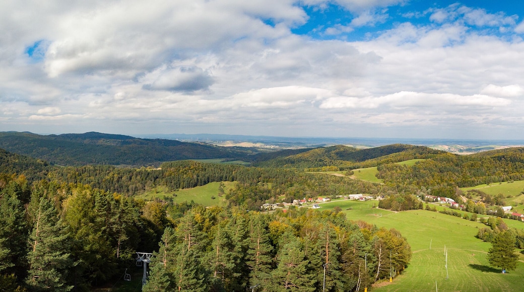 Subkarpatiske voivodskap