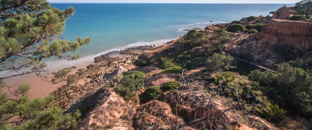 Un paysage côtier caractérisé par une plage, des falaises rocheuses et une végétation clairsemée.