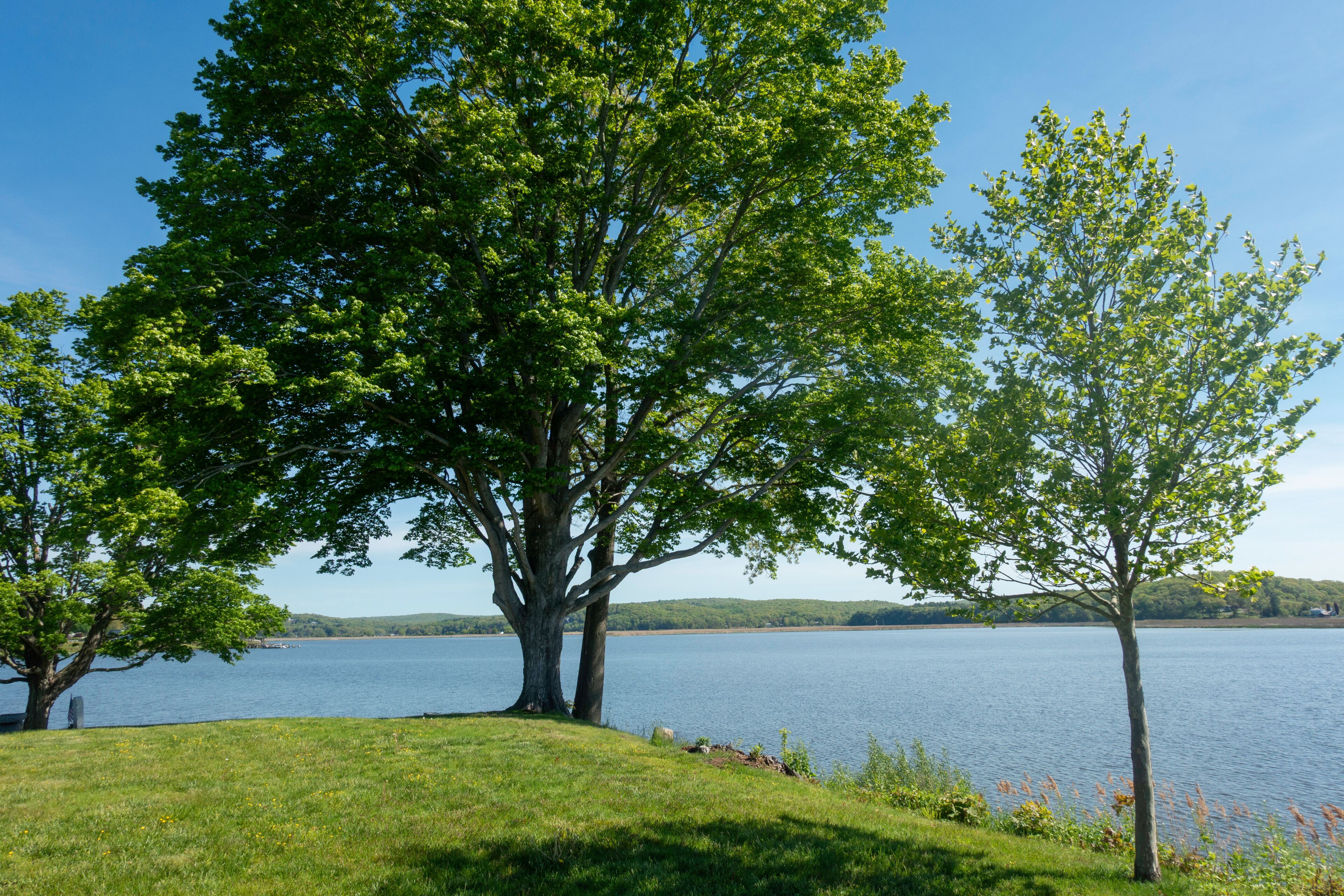 Scenic river view landscape in Essex, Connecticut (USA)