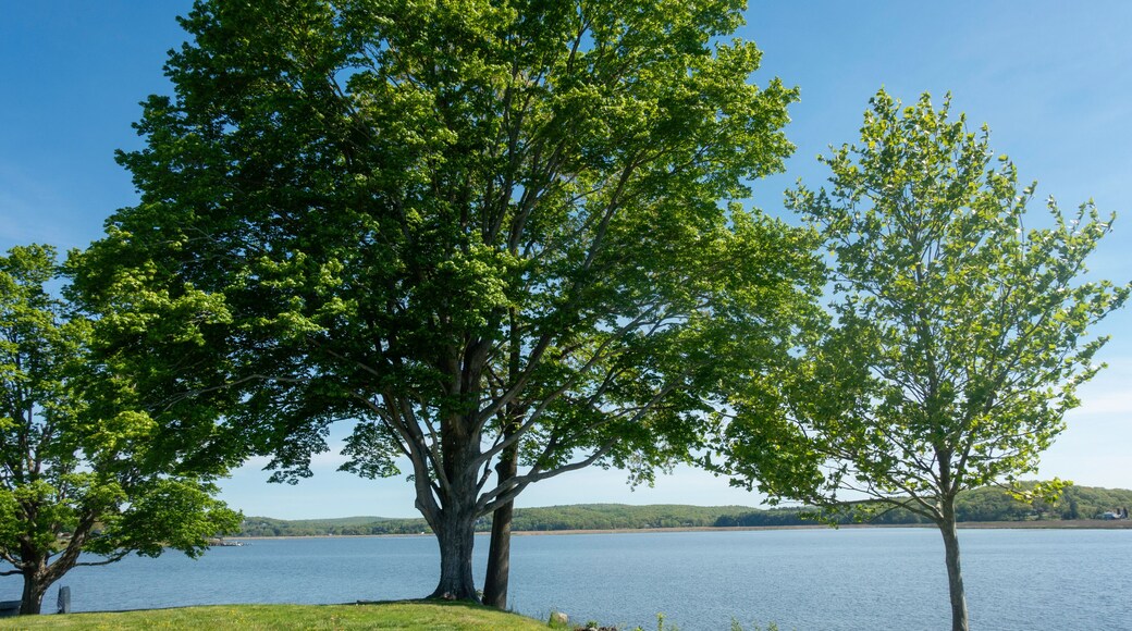 Scenic river view landscape in Essex, Connecticut (USA)