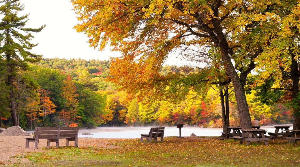 Burr Pond State Park Torrington Connecticut
