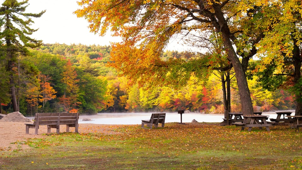 A park with a lake, benches, picnic tables, and autumn-colored trees.