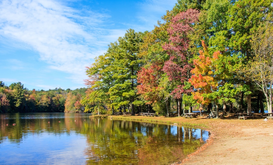 The Autumn Beach