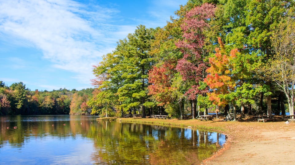 A lake surrounded by trees with autumn foliage, picnic tables, and a clear sky.