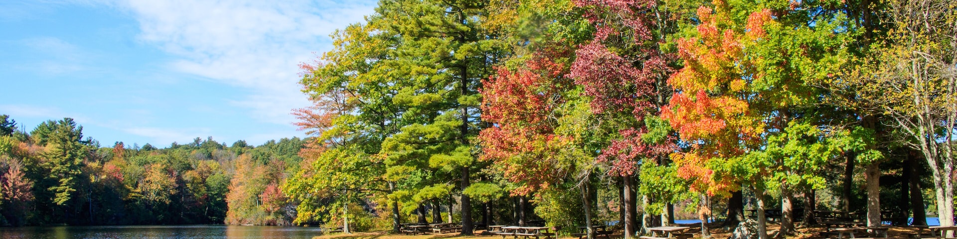 A lake surrounded by trees with autumn foliage, picnic tables, and a clear sky.