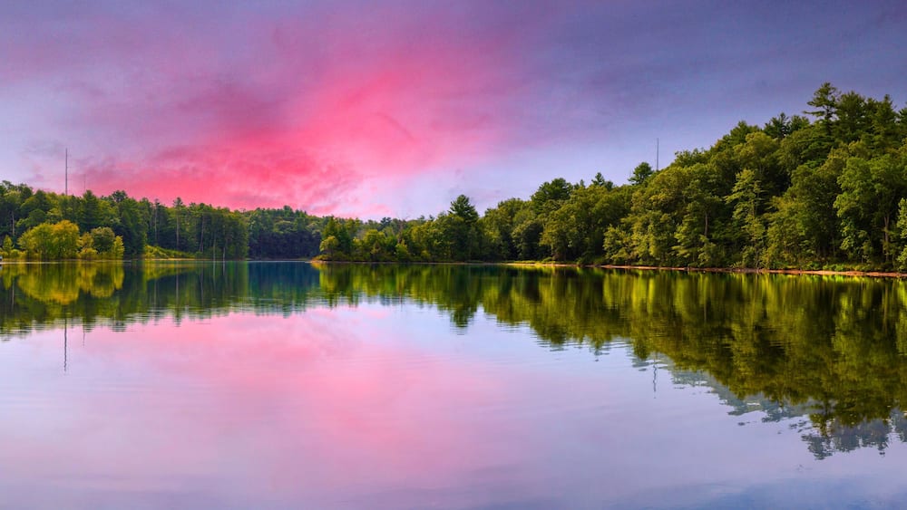 A calm lake with dense forest on one side and a clear sky with pink clouds.