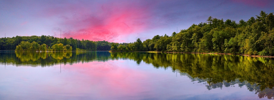 A calm lake with dense forest on one side and a clear sky with pink clouds.