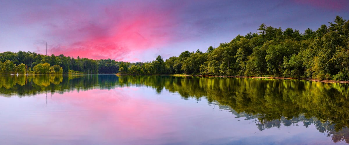 A calm lake with dense forest on one side and a clear sky with pink clouds.
