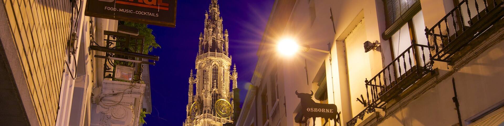 Cathedral of Our Lady showing night scenes, a city and a church or cathedral