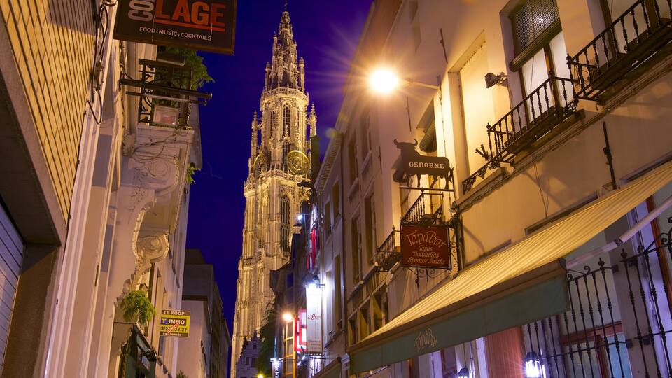 Cathedral of Our Lady featuring a church or cathedral, a city and night scenes