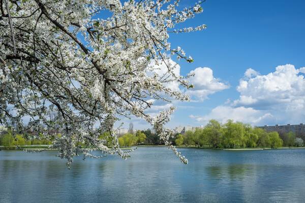Ah, the spring! The park seems more beautiful than ever!