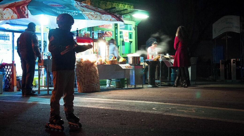 Palcul Herastrau at night.