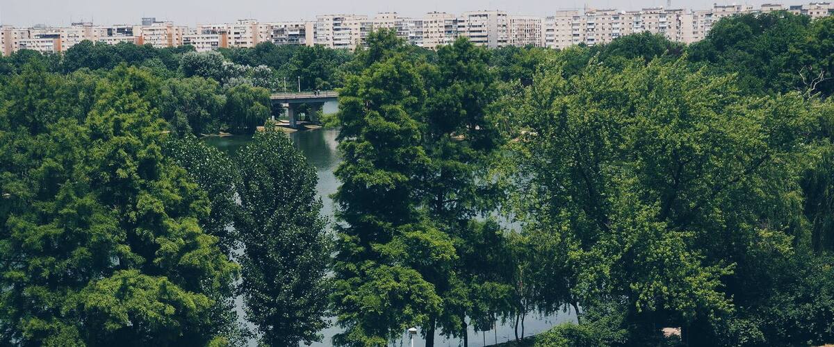 Beautiful day for a walk with the bike #park #bike #green #romania ##greenphotosweepstakes