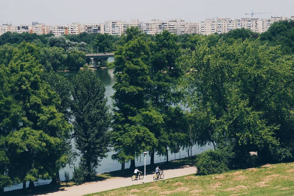 A river surrounded by dense trees, a bridge, and a cityscape in the background.