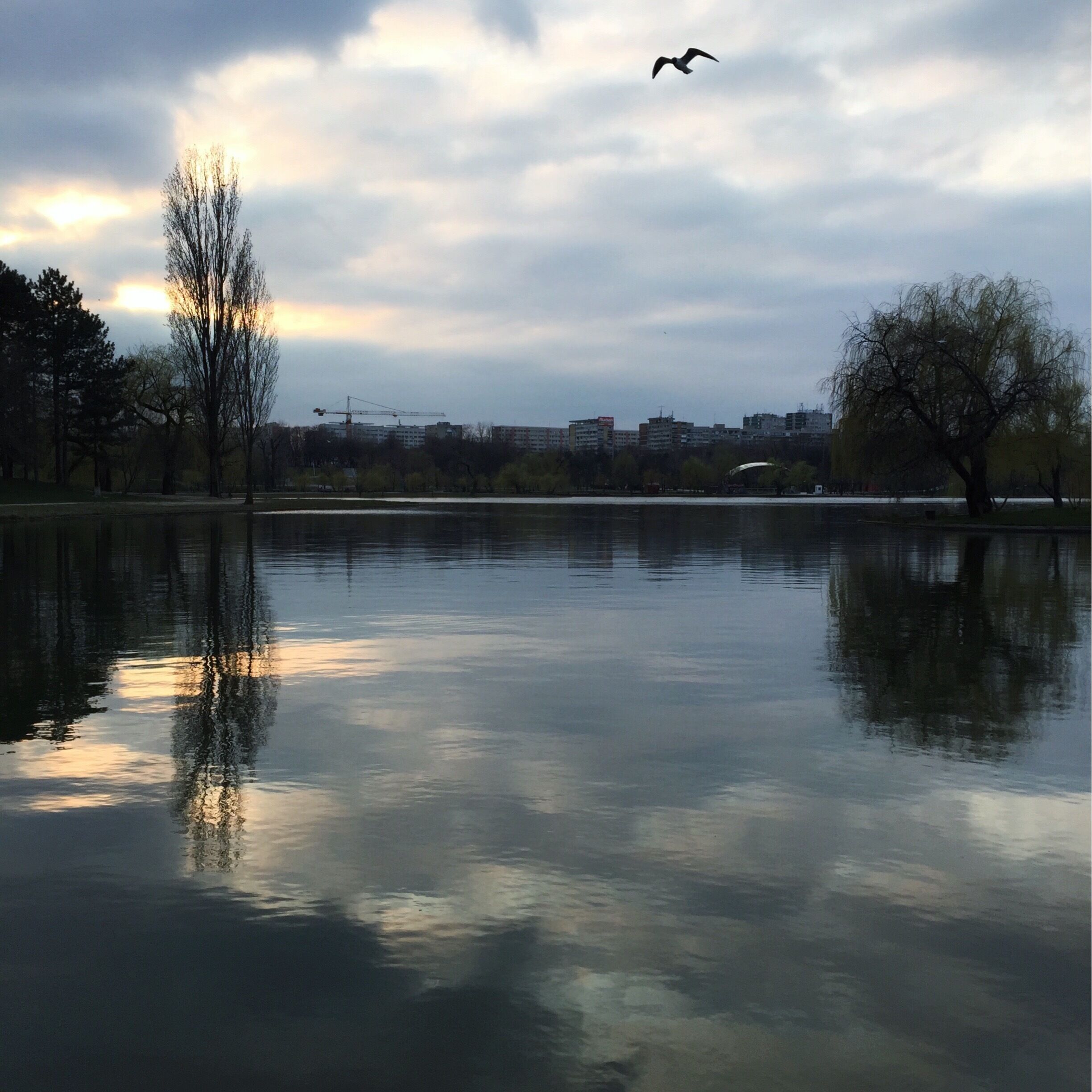 I was jogging when this nice view caught my eye. Shot with my iPhone. 