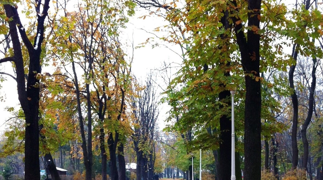 Discovering hidden alleys in a park lost among the fallen autumn leaves.. One of Bucharest's simplest pleasures