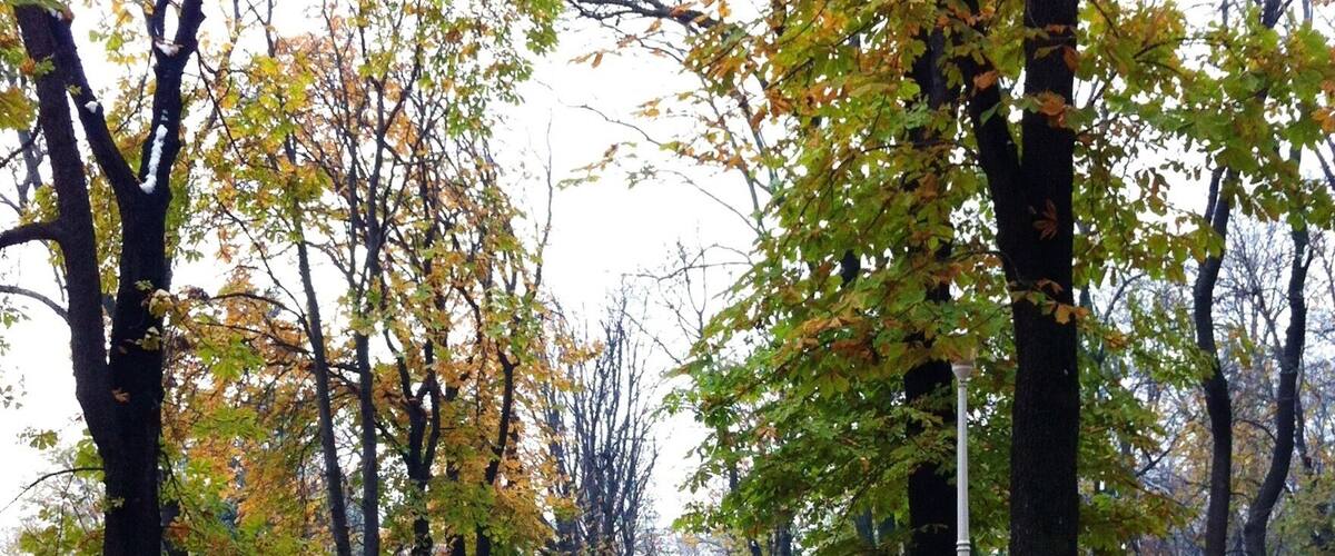 Discovering hidden alleys in a park lost among the fallen autumn leaves.. One of Bucharest's simplest pleasures