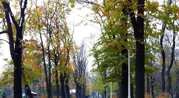 Discovering hidden alleys in a park lost among the fallen autumn leaves.. One of Bucharest's simplest pleasures