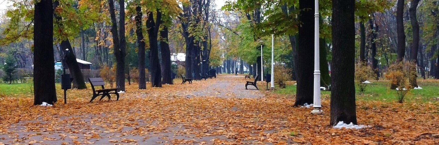 Discovering hidden alleys in a park lost among the fallen autumn leaves.. One of Bucharest's simplest pleasures