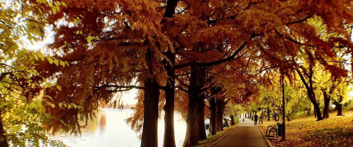 Fall in Bucharest.