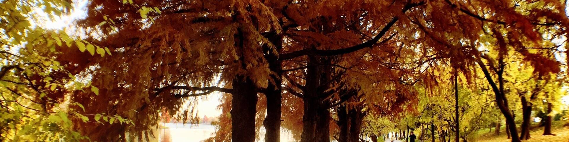Fall in Bucharest.