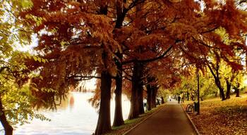 Fall in Bucharest.