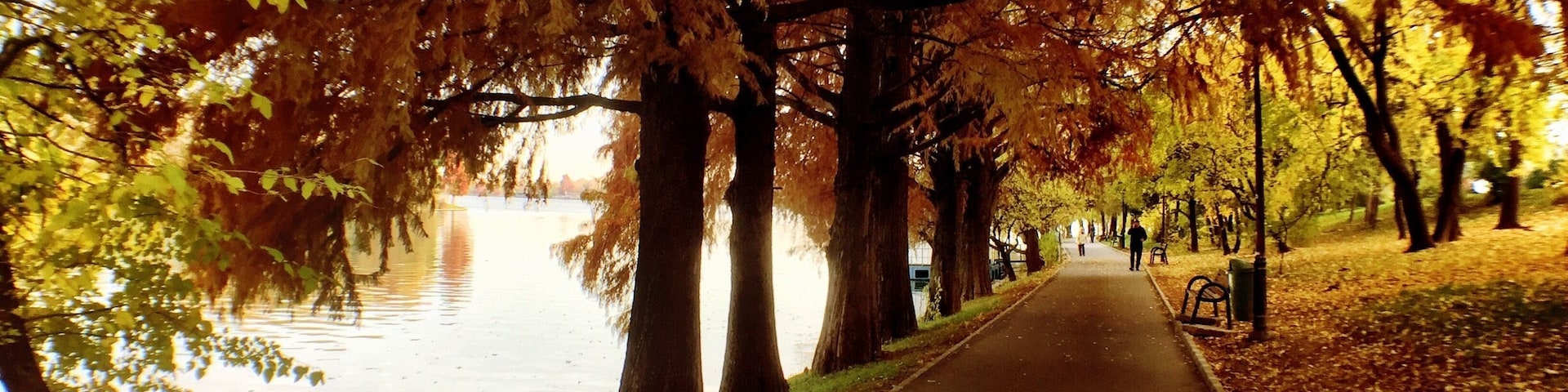 Fall in Bucharest.