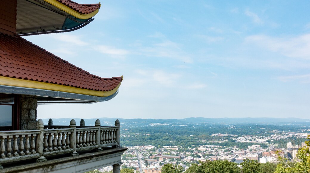 Reading Pagoda Overlooking the City