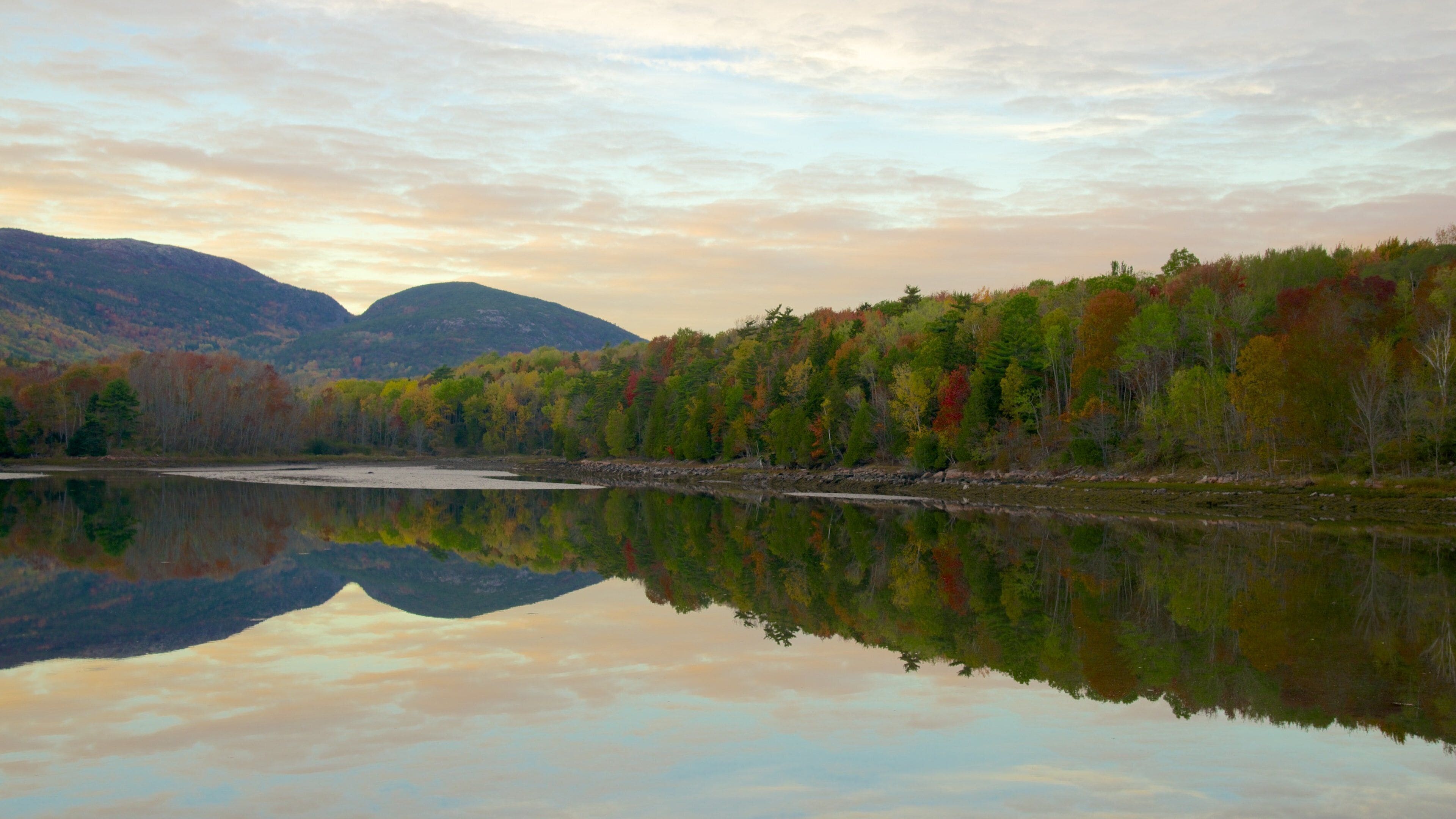 Acadia - Côte nord montrant forêts, paysages paisibles et un lac ou un point d’eau
