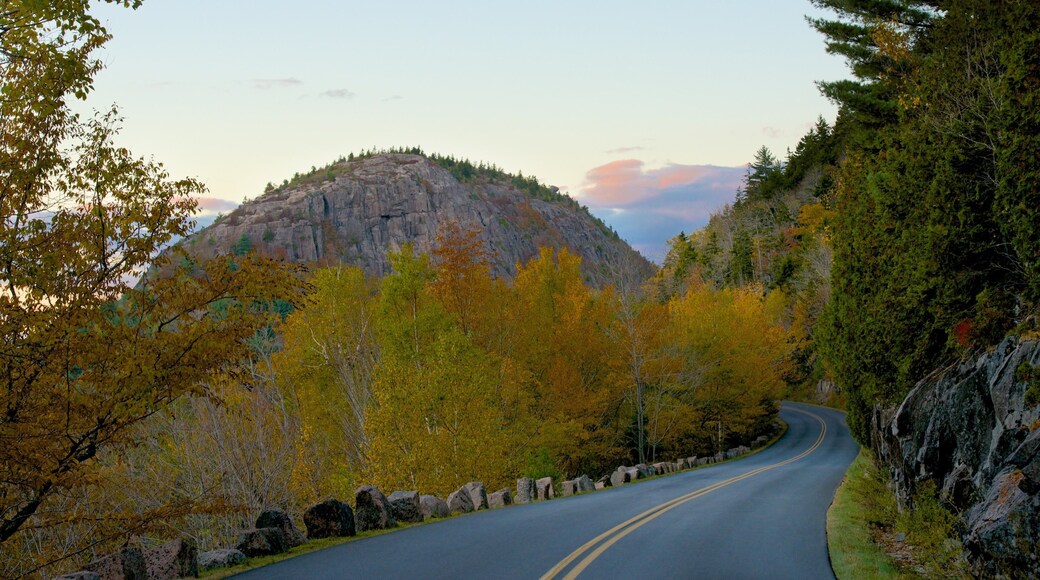 Acadia - North Coast which includes autumn colours and forests