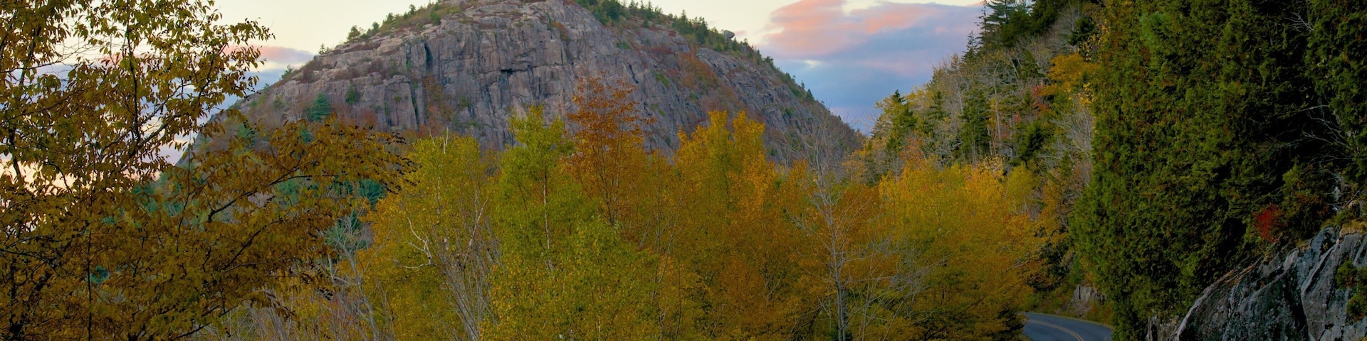 Acadia - Costa Norte caracterizando cenas de floresta e folhas de outono