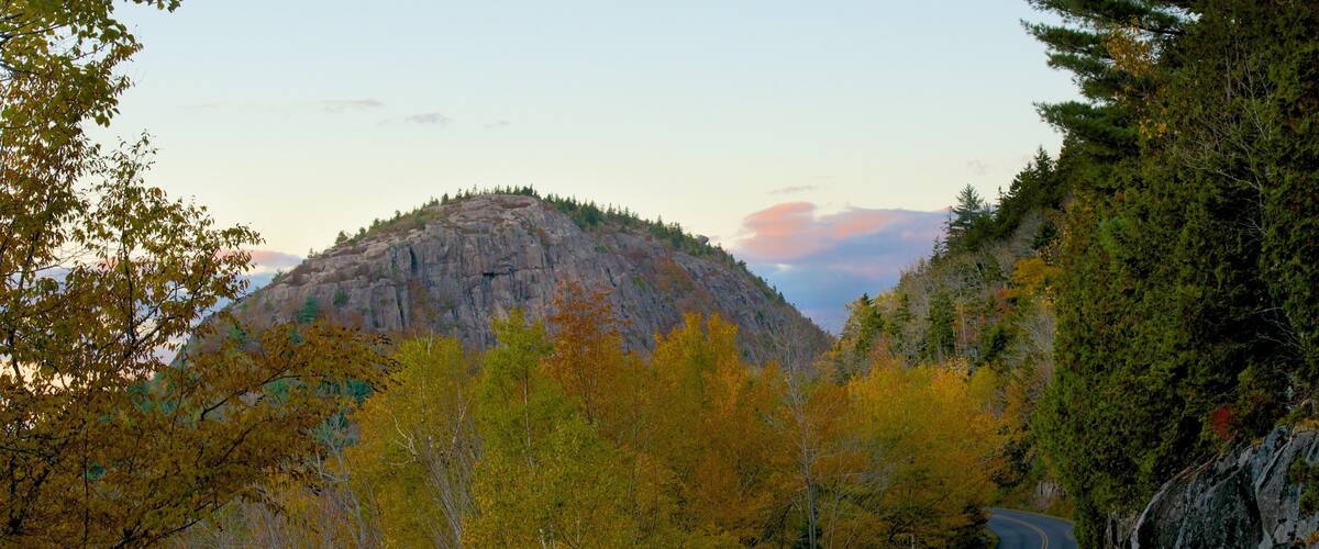 A winding mountain road surrounded by autumn foliage and rocky terrain.