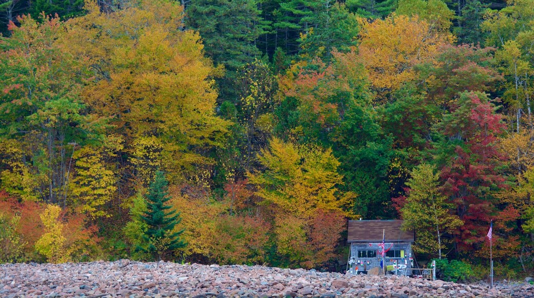 Acadia - North Coast which includes autumn colours, a house and forests