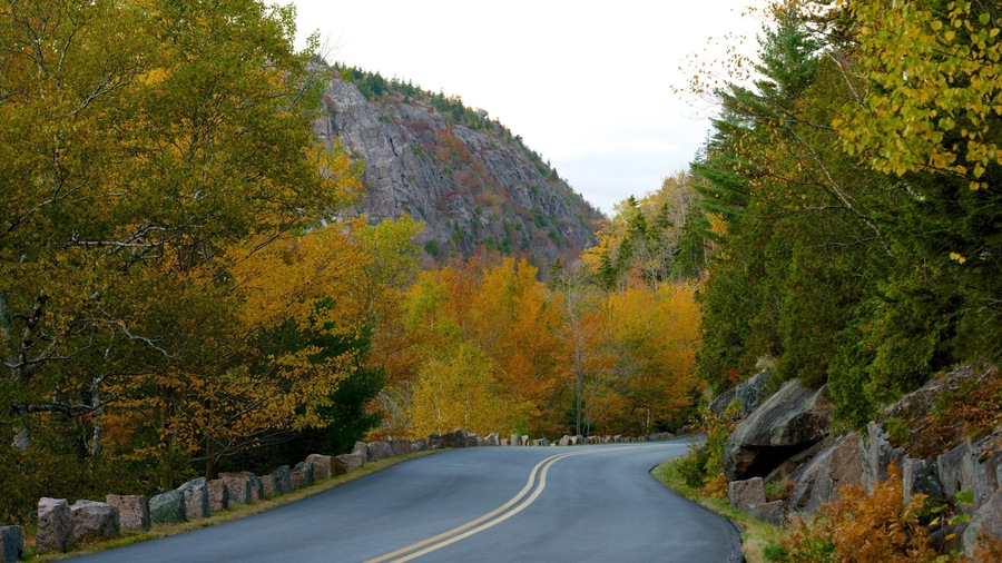 Acadia - North Coast featuring forests and fall colors