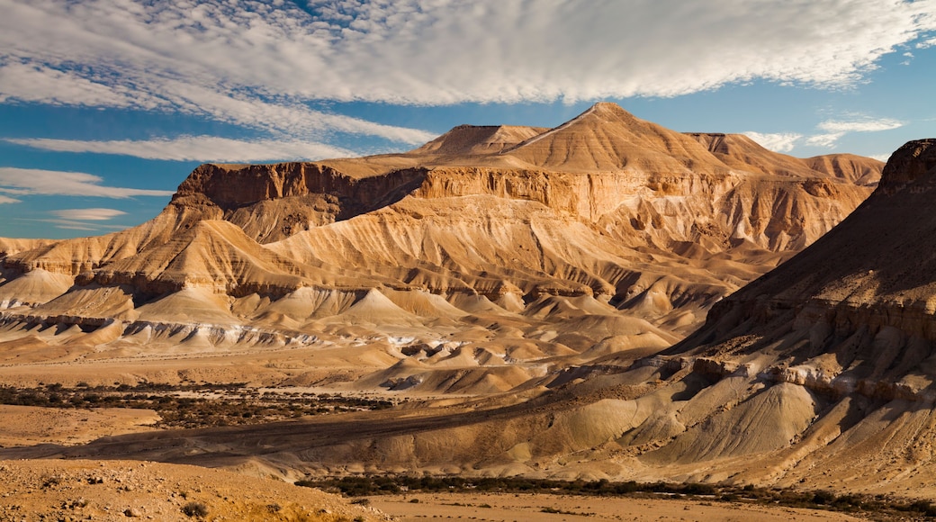 The famous Negev desert in Israel at sunset