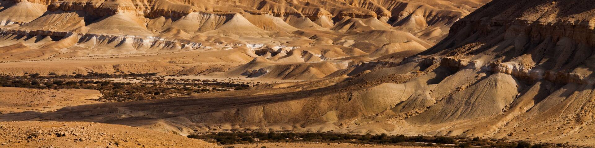 The famous Negev desert in Israel at sunset