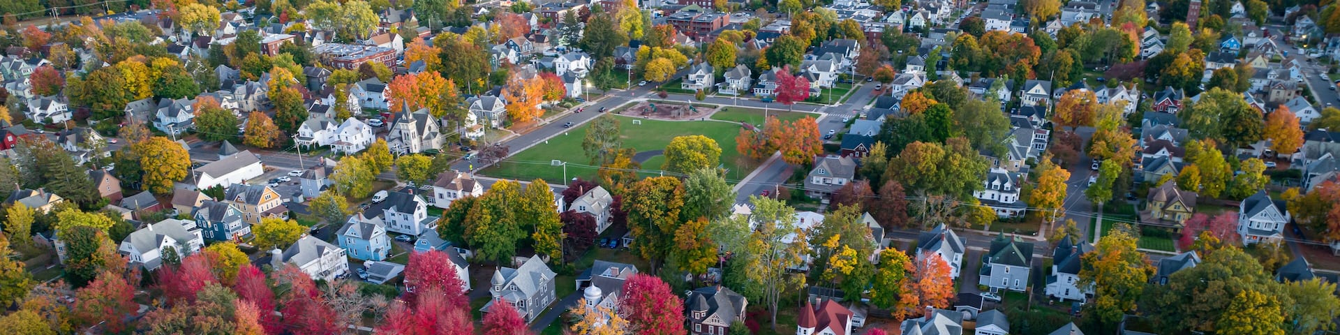 Holyoke MA - Fairfield Ave Red Row of Trees